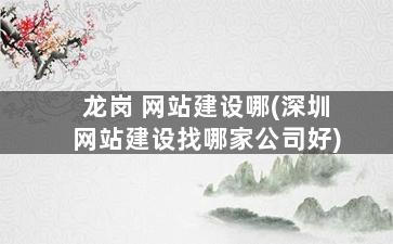 龙岗 网站建设哪(深圳网站建设找哪家公司好)